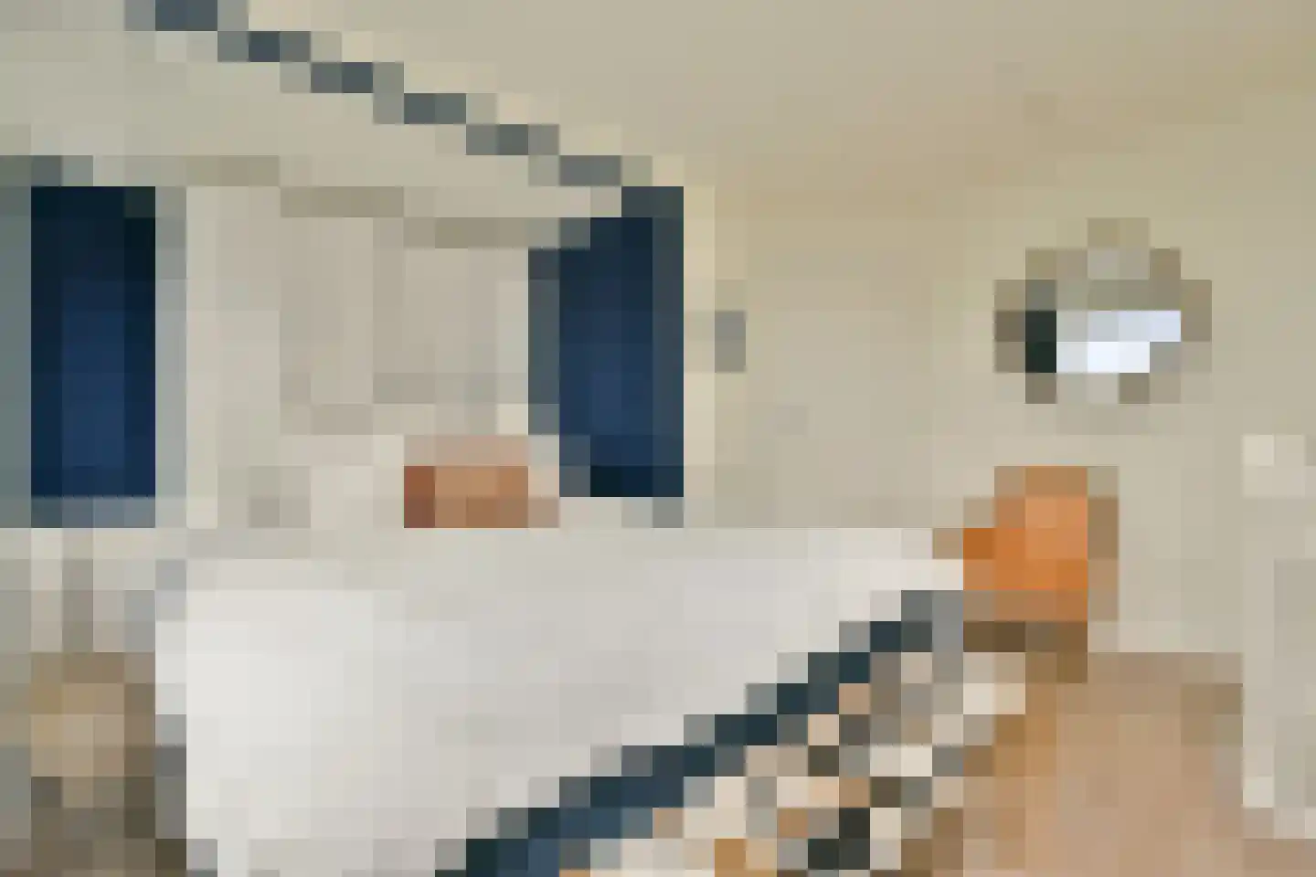 Eerste Kostverlorenkade 18 3 Amsterdam thumbnail 19