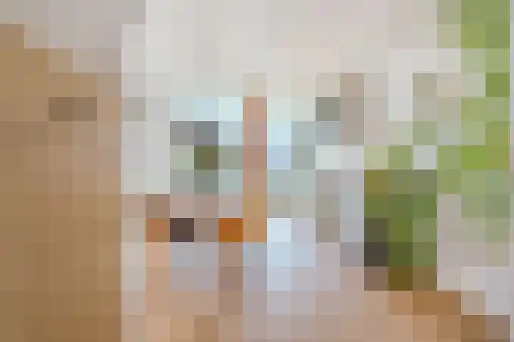 Eerste Kostverlorenkade 19 H Amsterdam thumbnail 16