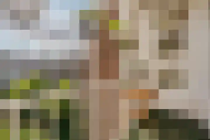 Eerste Kostverlorenkade 19 H Amsterdam thumbnail 25