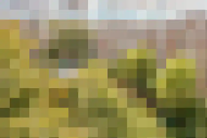 Eerste Kostverlorenkade 19 H Amsterdam thumbnail 26