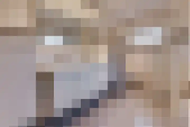 Eerste Kruisdiep OZ 1 Nieuw-Weerdinge thumbnail 19