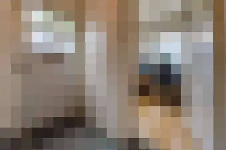 Eerste Kruisdiep OZ 1 Nieuw-Weerdinge thumbnail 24