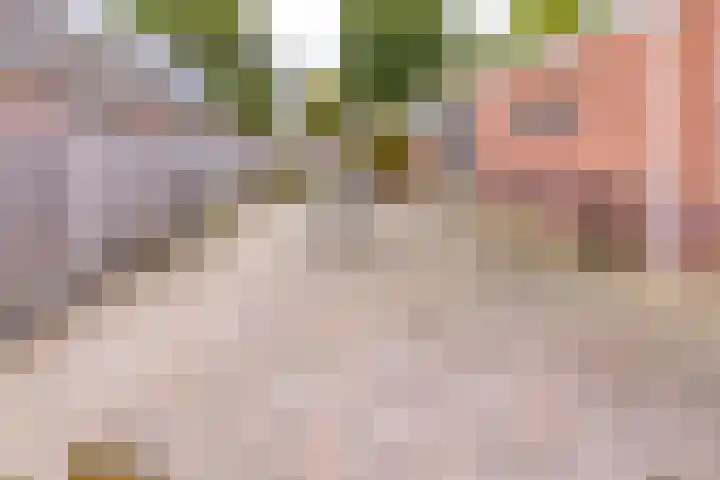 Eerste Kruisdiep OZ 1 Nieuw-Weerdinge thumbnail 38