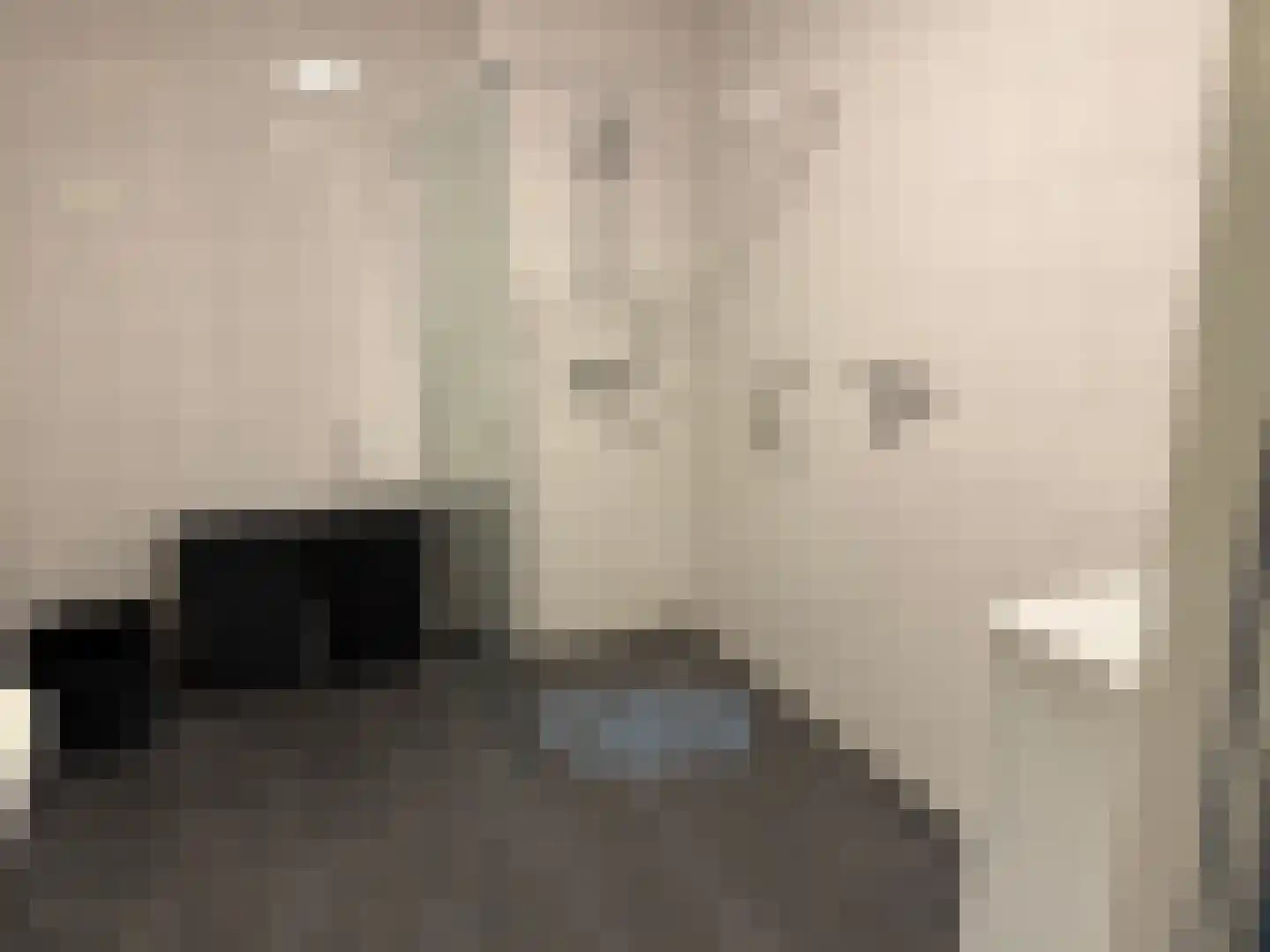 Eerste Kruisdiep WZ 8 B Nieuw-Weerdinge thumbnail 29