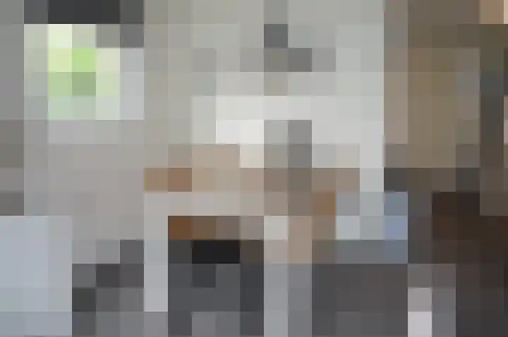 Eerste Kruishaarseweg 9 034 Nijkerk thumbnail 8
