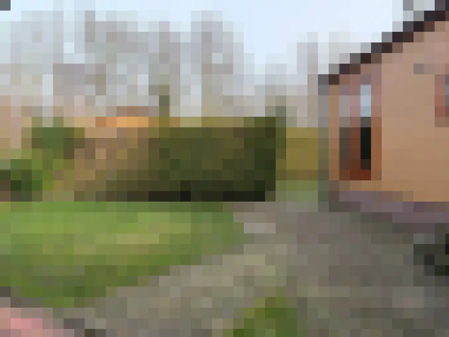 Eerste Kruishaarseweg 9 042 Nijkerk thumbnail 7