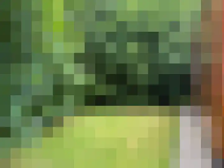 Eerste Kruishaarseweg 9 048 Nijkerk thumbnail 10