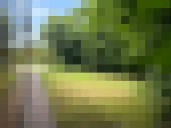 Eerste Kruishaarseweg 9 048 Nijkerk thumbnail 11