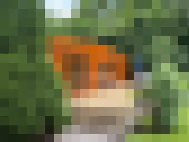 Eerste Kruishaarseweg 9 048 Nijkerk thumbnail 12