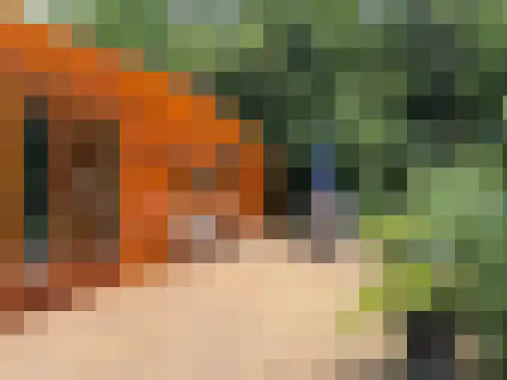 Eerste Kruishaarseweg 9 048 Nijkerk thumbnail 13