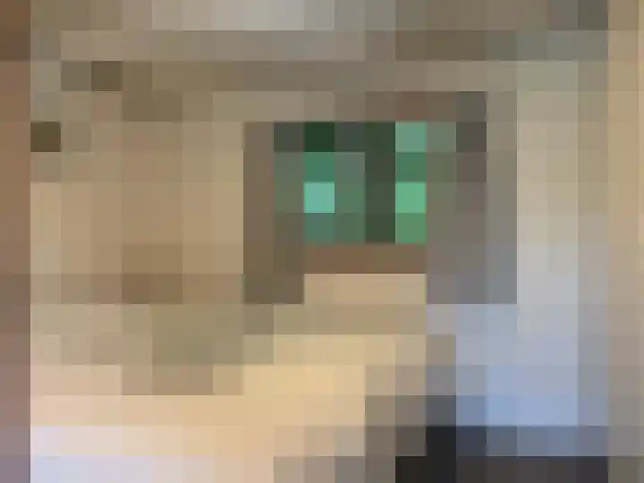 Eerste Kruishaarseweg 9 048 Nijkerk thumbnail 19