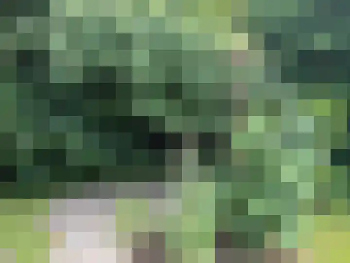 Eerste Kruishaarseweg 9 048 Nijkerk thumbnail 4