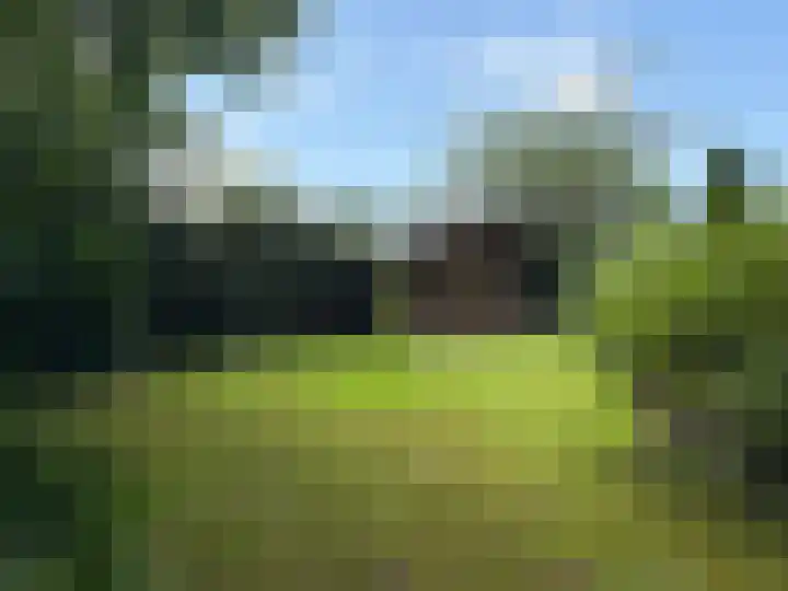 Eerste Kruishaarseweg 9 048 Nijkerk thumbnail 5