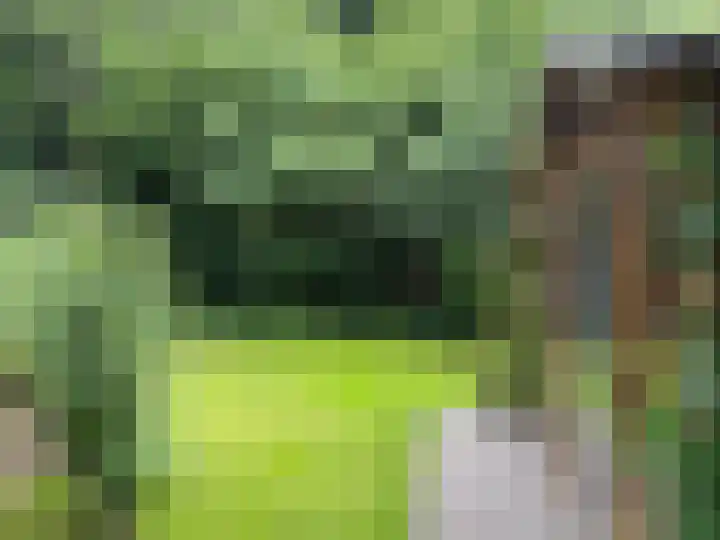 Eerste Kruishaarseweg 9 048 Nijkerk thumbnail 7