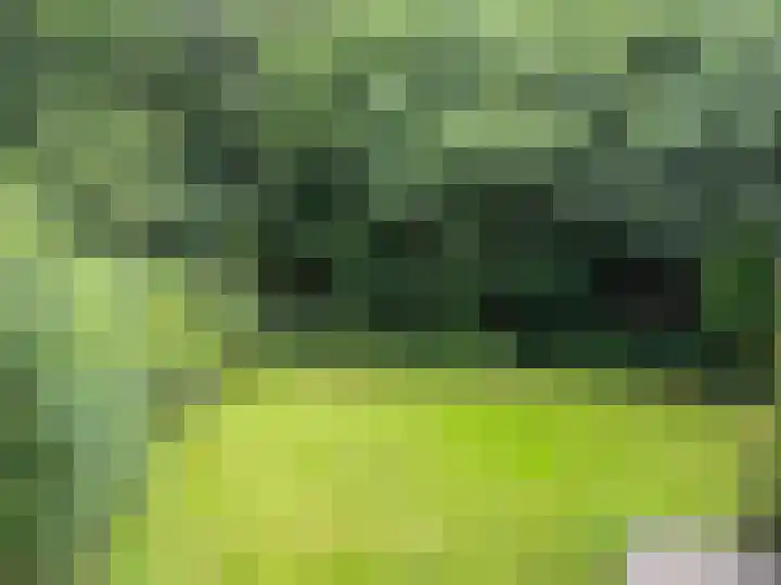 Eerste Kruishaarseweg 9 048 Nijkerk thumbnail 8