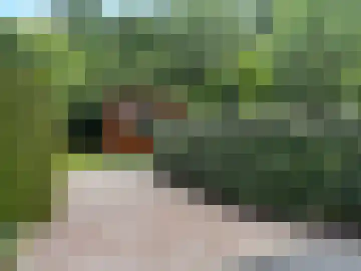 Eerste Kruishaarseweg 9 048 Nijkerk thumbnail 9