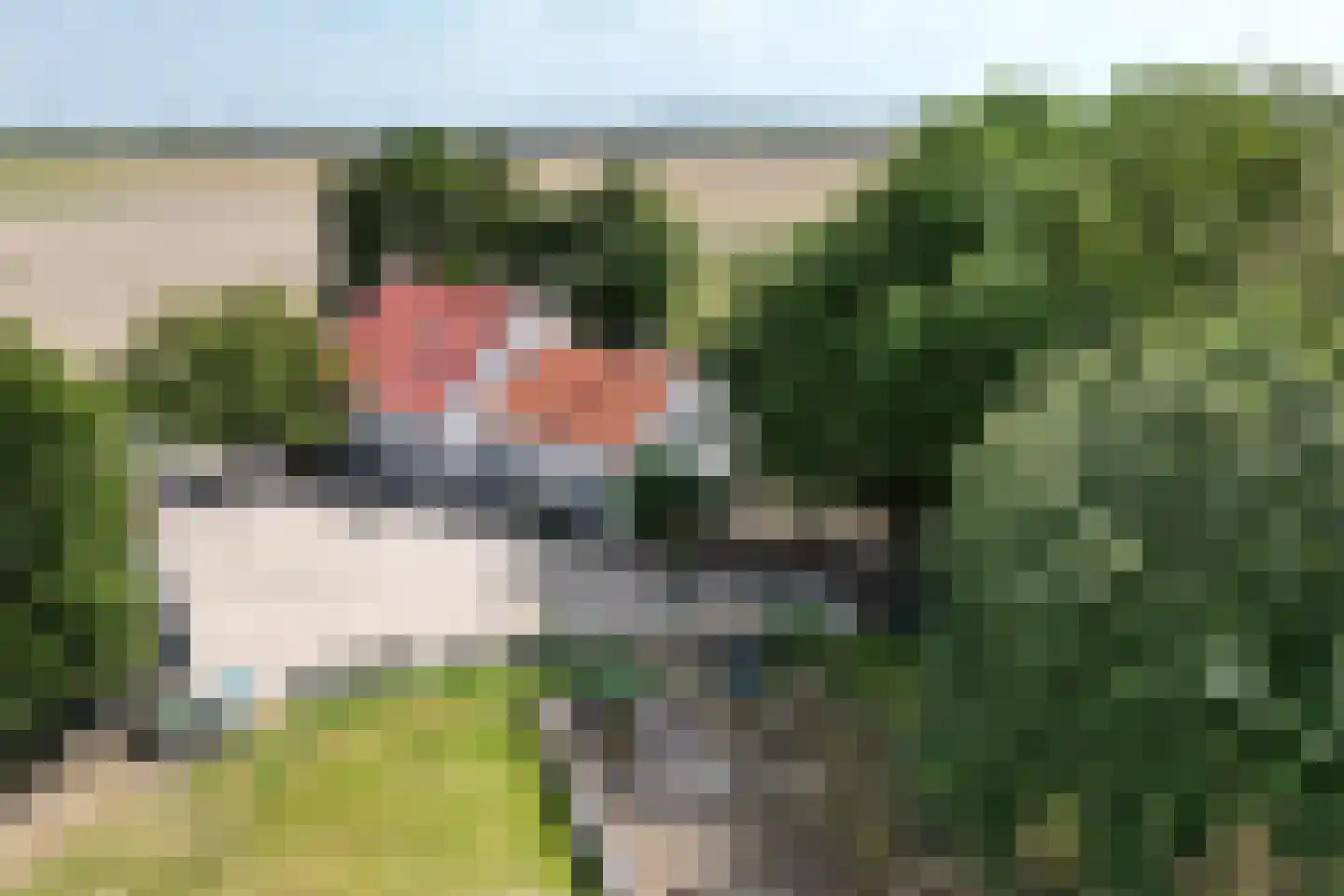 Eerste Kruisweg 7 Standdaarbuiten thumbnail 100