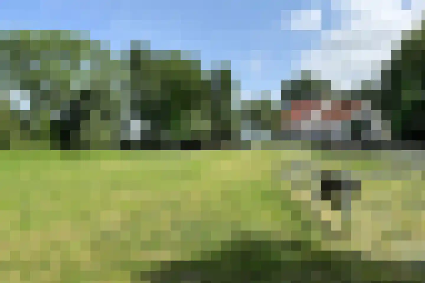 Eerste Kruisweg 7 Standdaarbuiten thumbnail 101