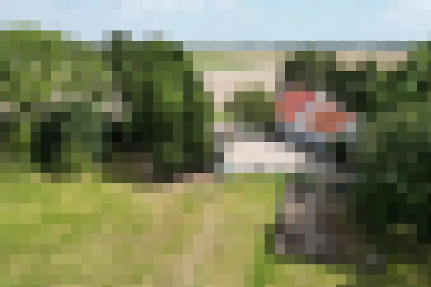 Eerste Kruisweg 7 Standdaarbuiten thumbnail 102