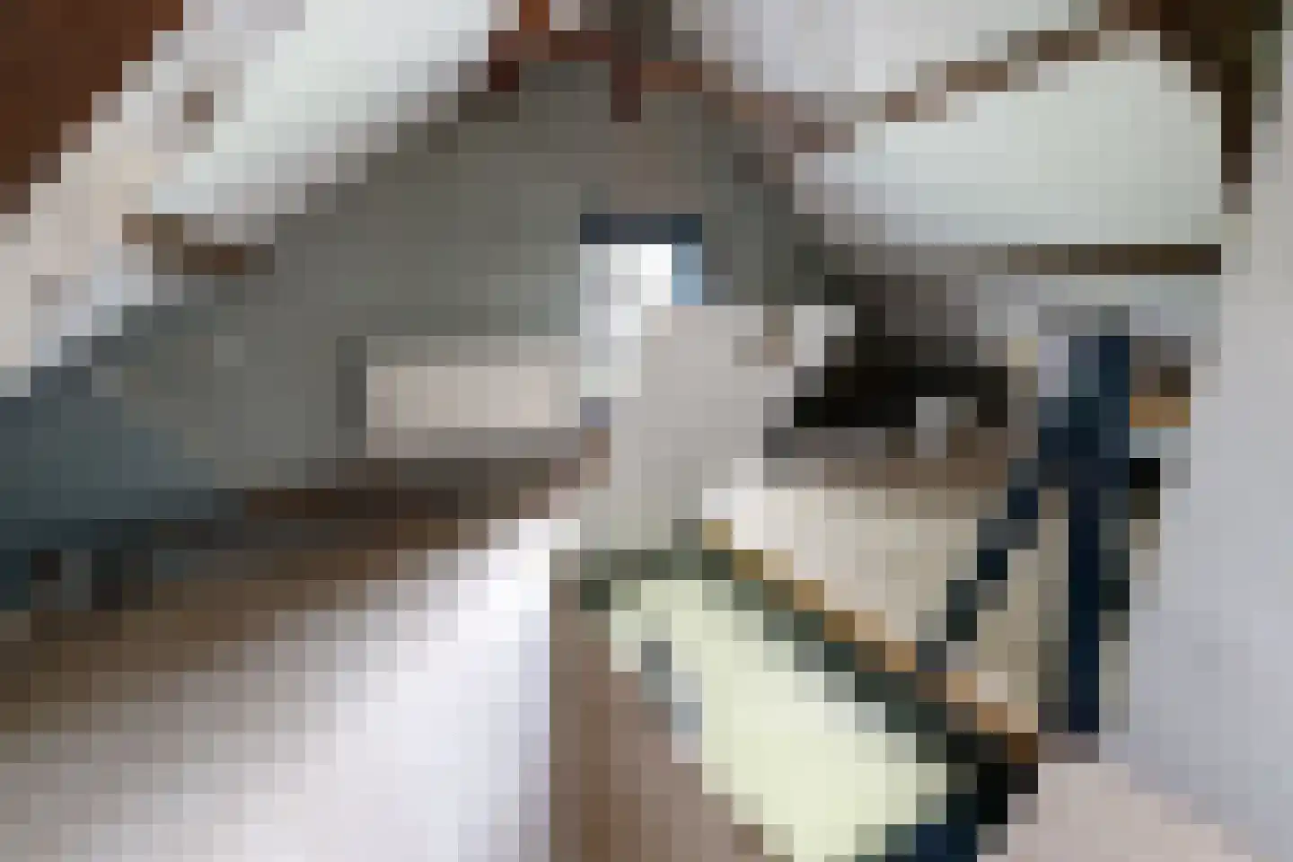 Eerste Kruisweg 7 Standdaarbuiten thumbnail 45