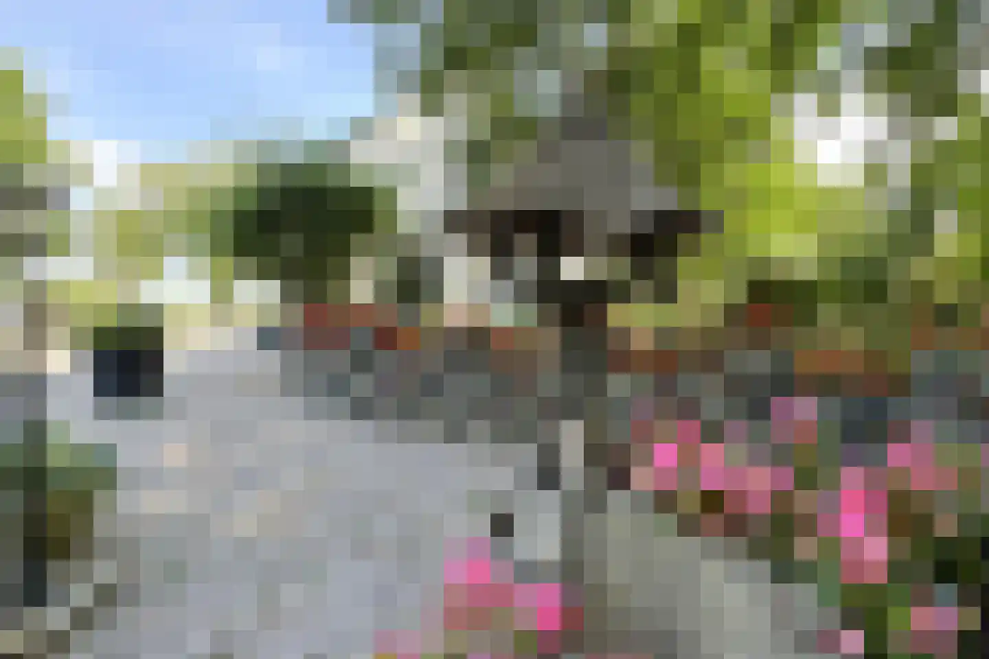 Eerste Kruisweg 7 Standdaarbuiten thumbnail 86