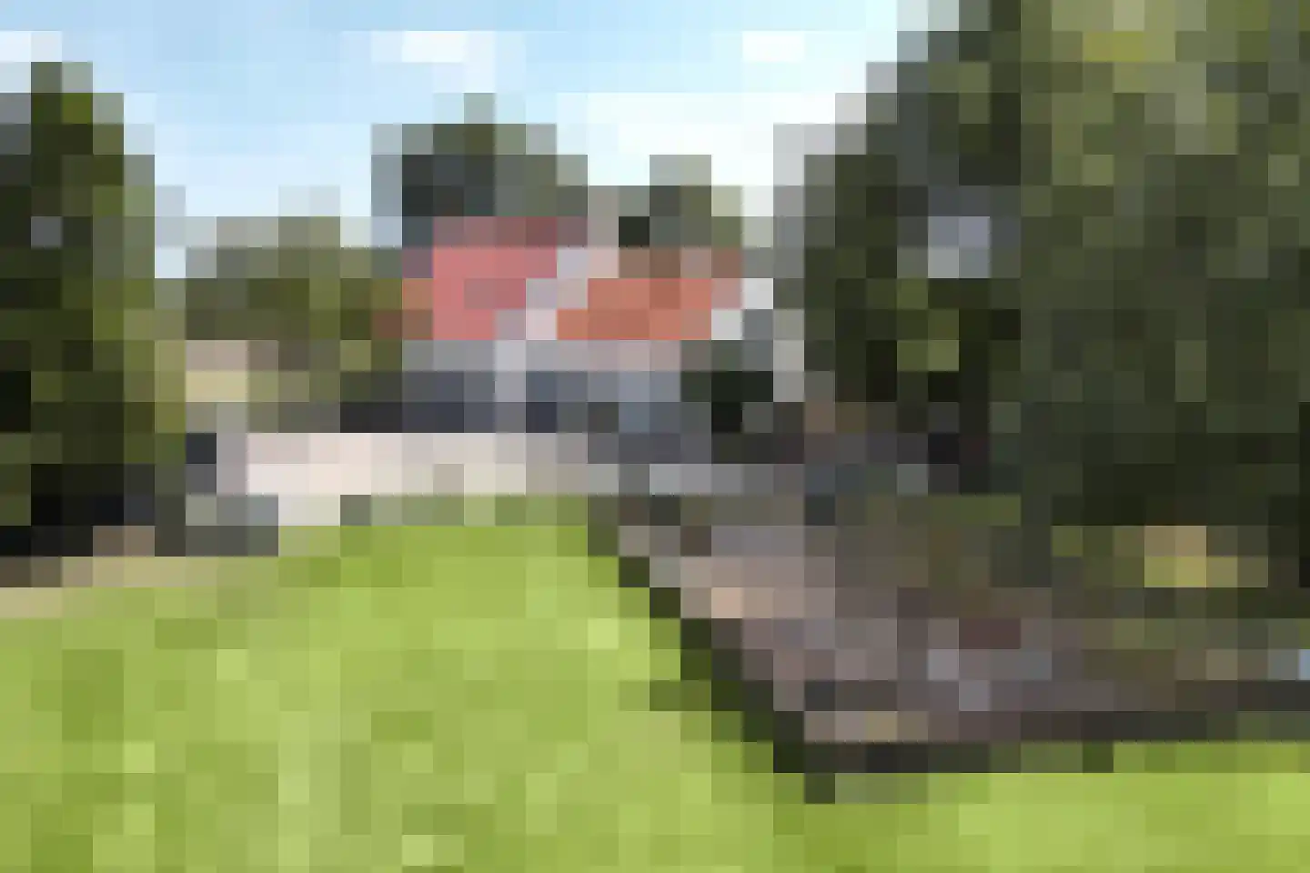 Eerste Kruisweg 7 Standdaarbuiten thumbnail 99