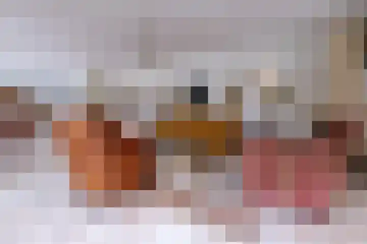 Eerste Laan 4 Norg thumbnail 12