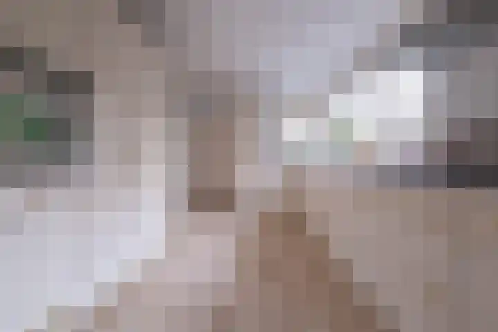 Eerste Laan 4 Norg thumbnail 15