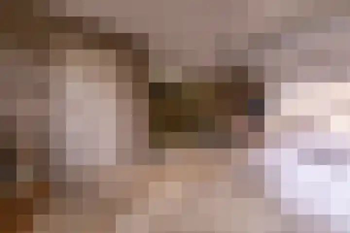 Eerste Laan 4 Norg thumbnail 19