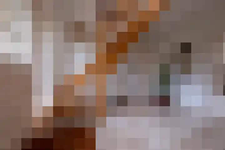 Eerste Laan 4 Norg thumbnail 22
