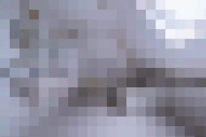 Eerste Laan 4 Norg thumbnail 32