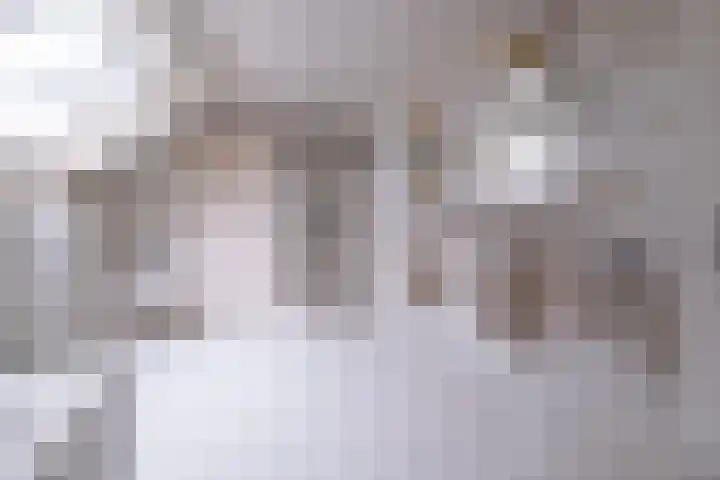 Eerste Laan 4 Norg thumbnail 33