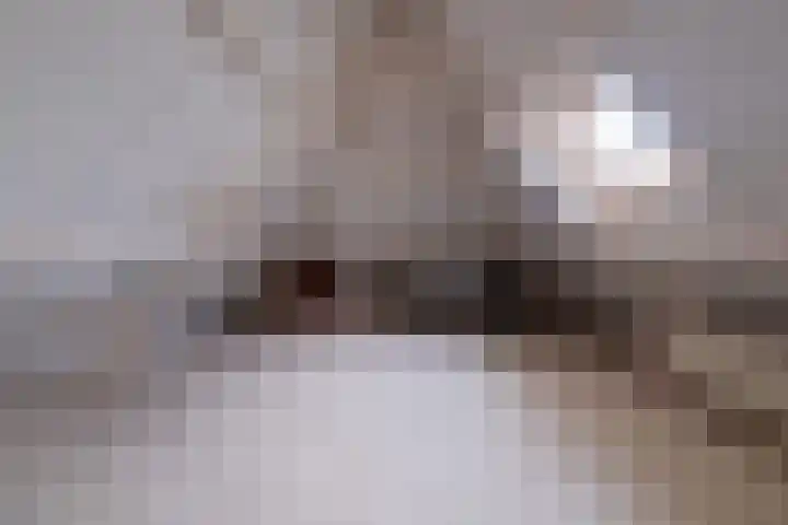 Eerste Laan 4 Norg thumbnail 35