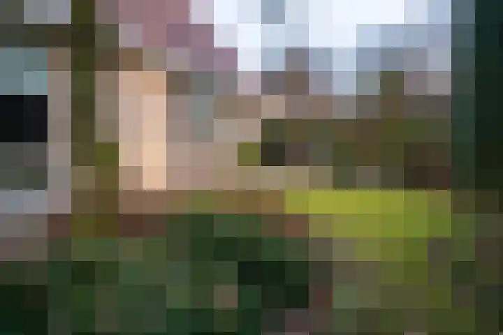 Eerste Laan 4 Norg thumbnail 41