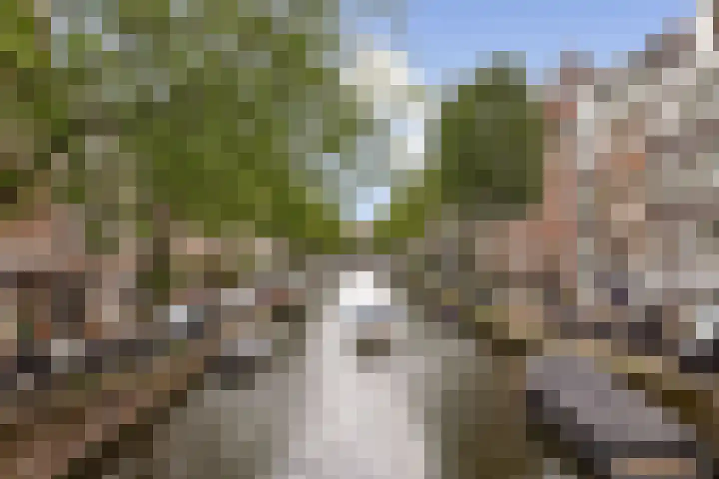 Eerste Laurierdwarsstraat 15 3 Amsterdam thumbnail 18