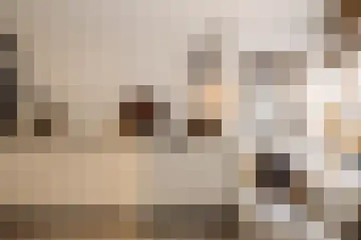 Eerste Laurierdwarsstraat 15 3 Amsterdam thumbnail 4
