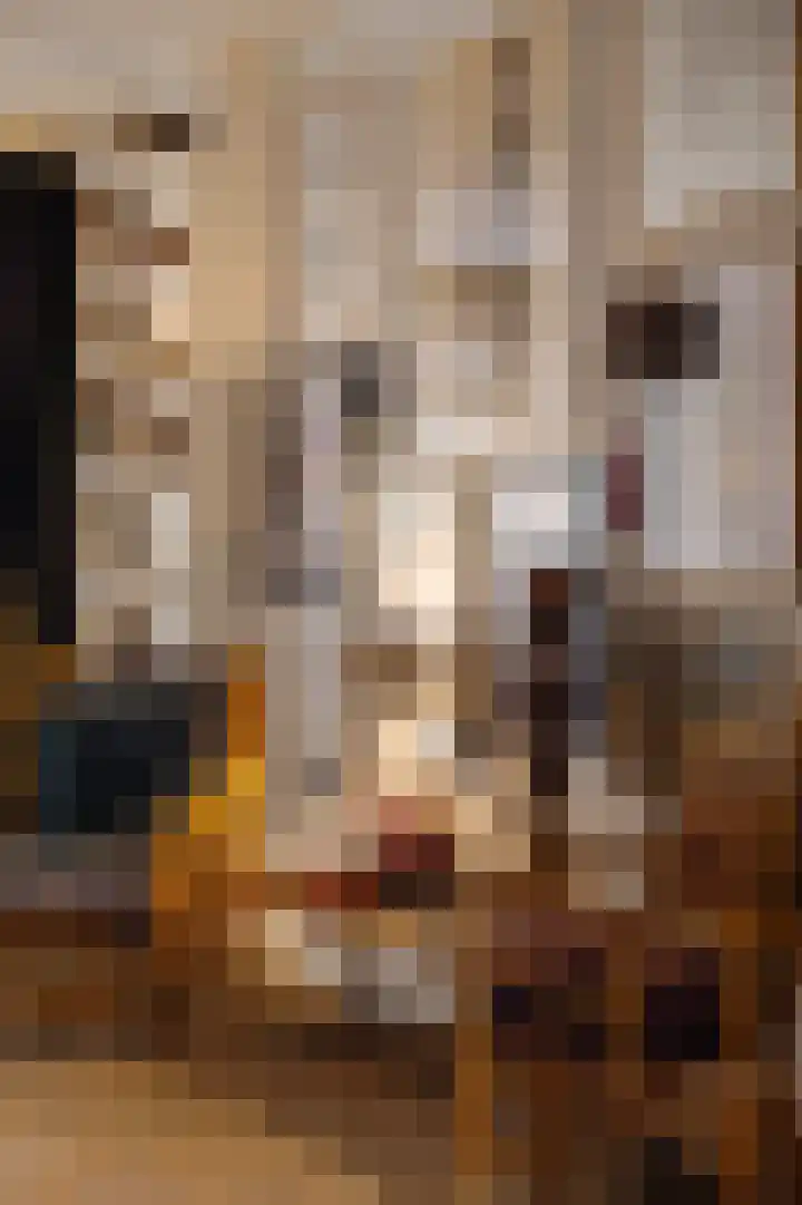 Eerste Laurierdwarsstraat 15 3 Amsterdam thumbnail 5