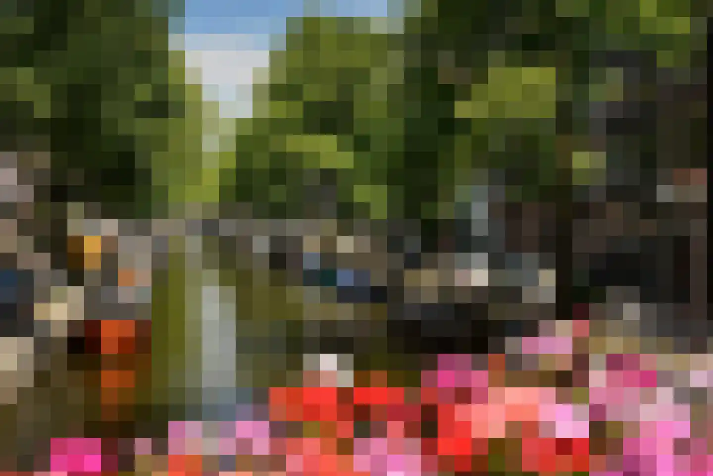 Eerste Laurierdwarsstraat 17 A 1 Amsterdam thumbnail 19