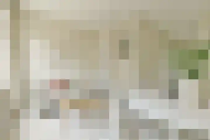 Eerste Laurierdwarsstraat 9 1 Amsterdam thumbnail 5