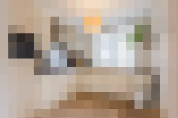 Eerste Lei 11 Rijen thumbnail 12