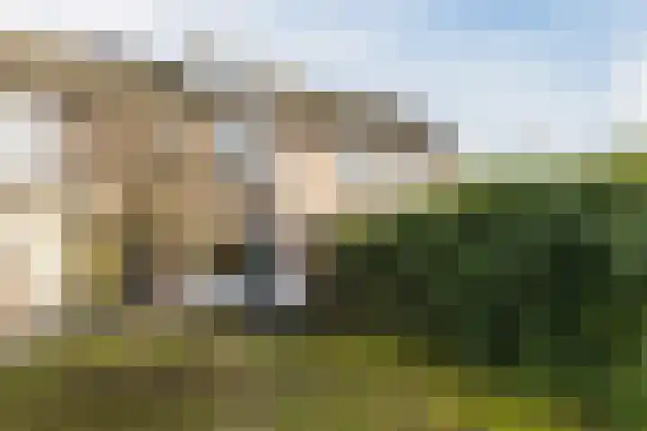 Eerste Lei 11 Rijen thumbnail 14