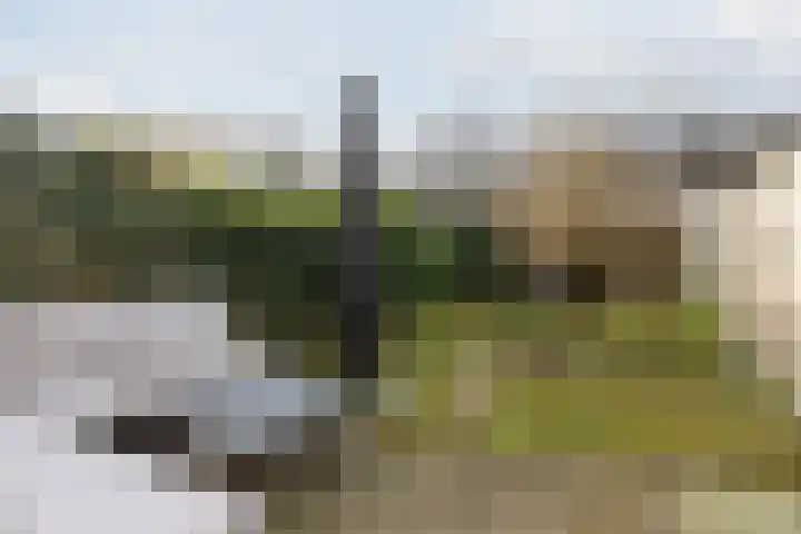 Eerste Lei 11 Rijen thumbnail 16