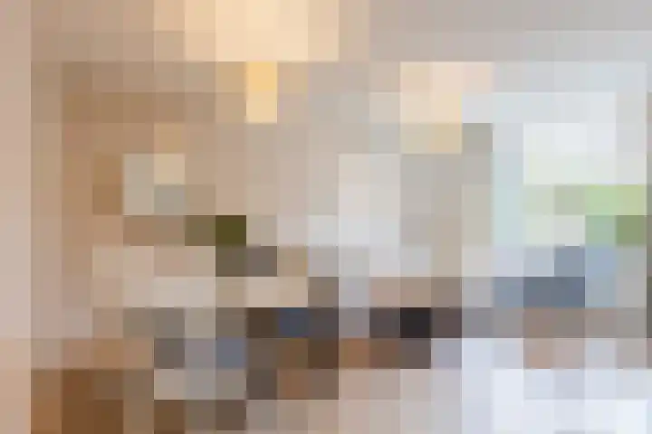 Eerste Lei 11 Rijen foto 2