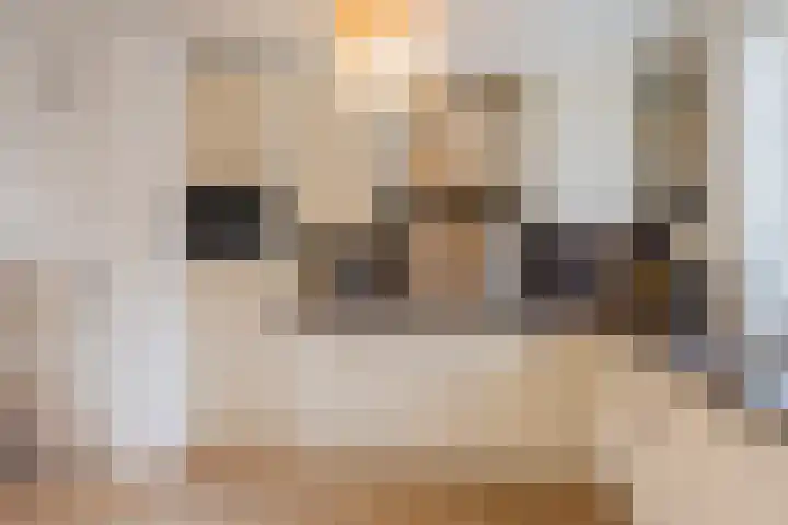 Eerste Lei 11 Rijen foto 3
