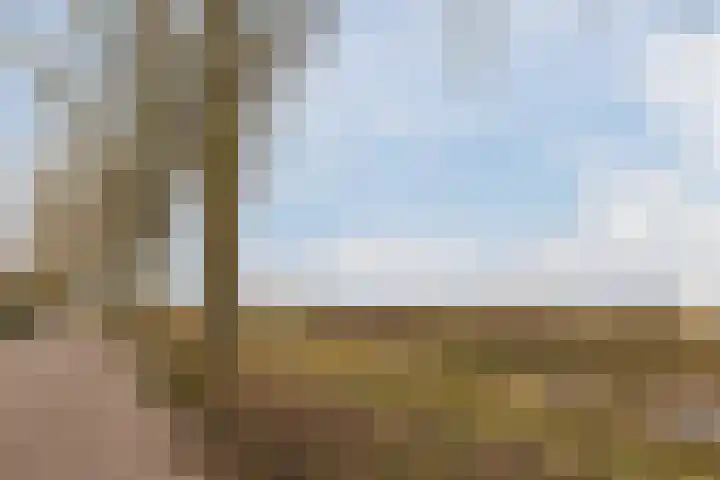 Eerste Lei 11 Rijen thumbnail 34
