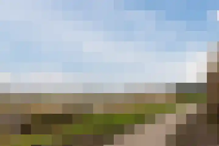Eerste Lei 11 Rijen thumbnail 35