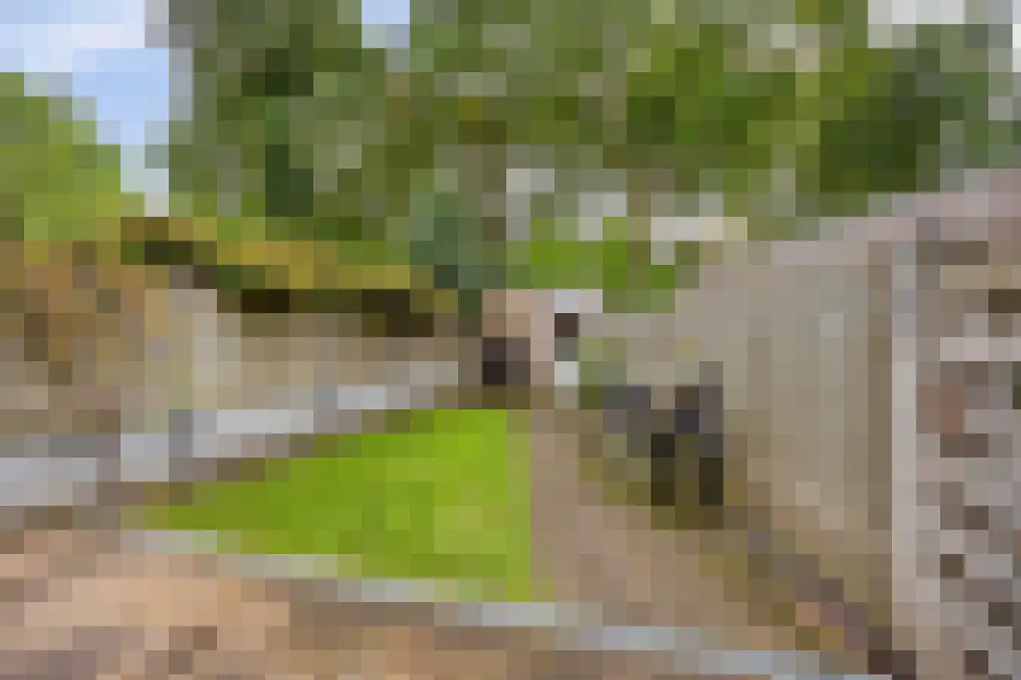 Eerste Lei 2 Rijen thumbnail 16