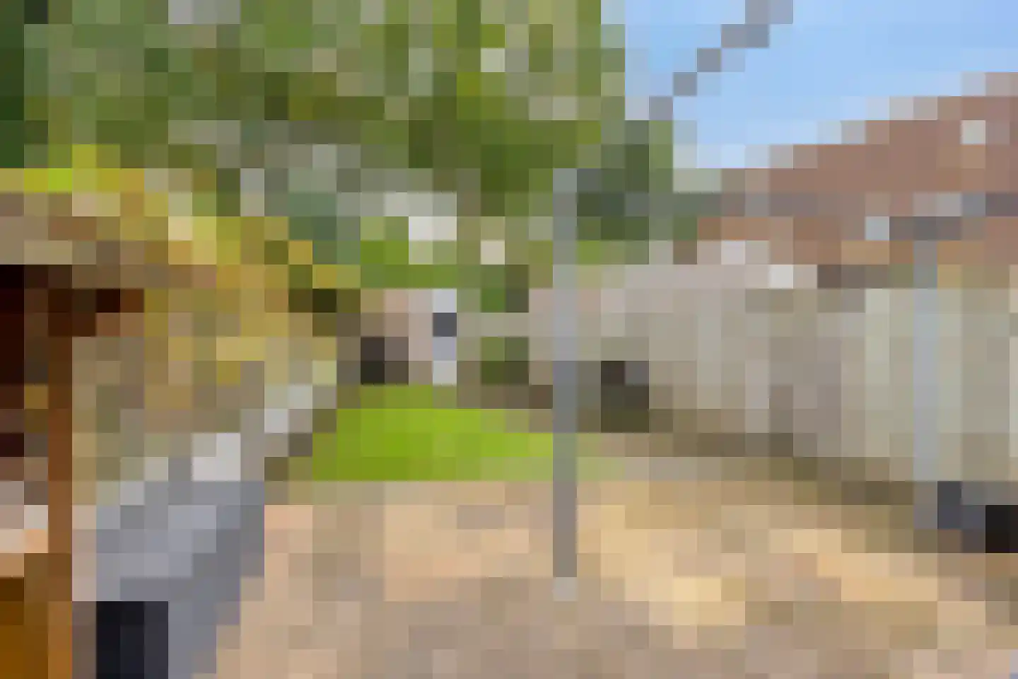 Eerste Lei 2 Rijen thumbnail 17