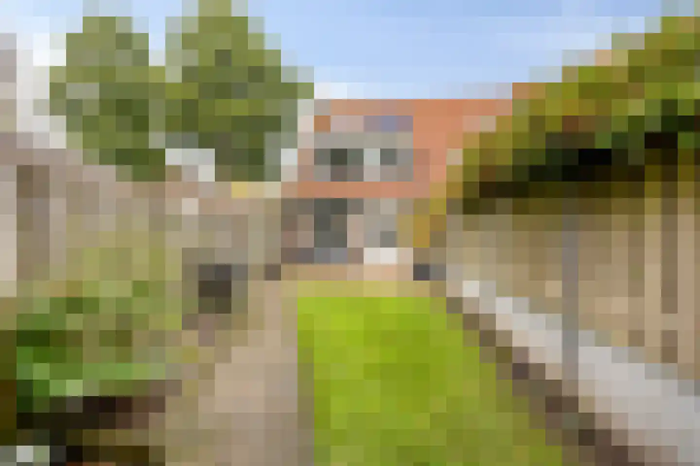 Eerste Lei 2 Rijen foto 3
