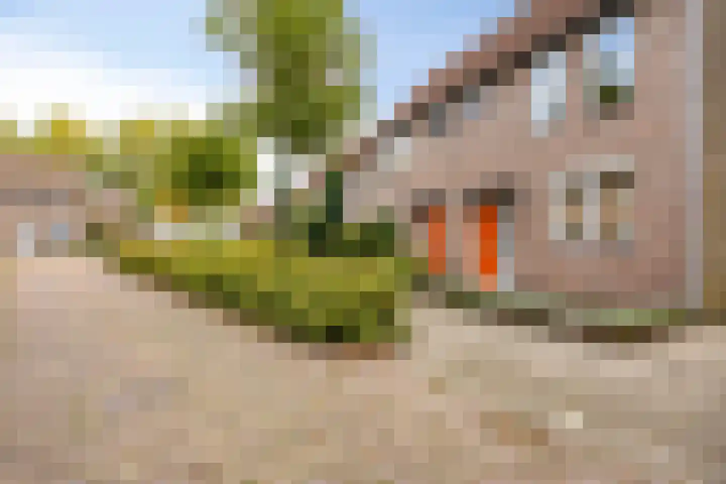 Eerste Lei 2 Rijen thumbnail 32